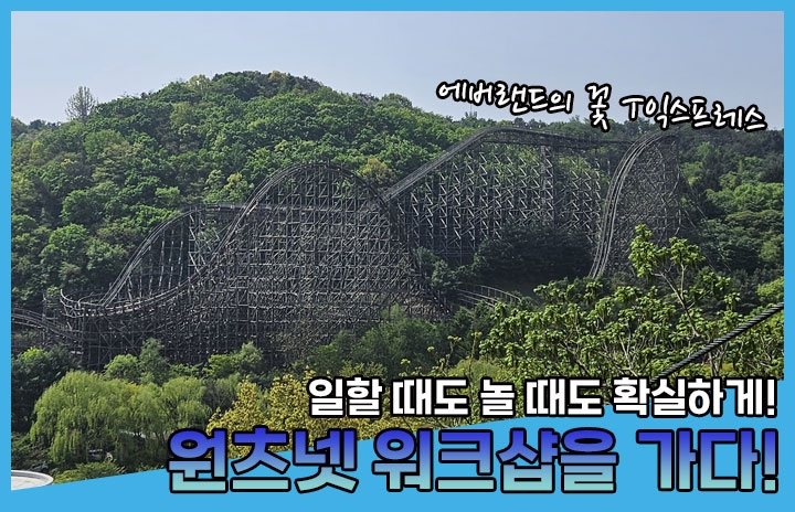 원츠넷, 워크샵을 가다![상반기 워크샵 이야기]